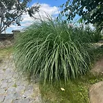 Casa Adrian * Cluj-Napoca