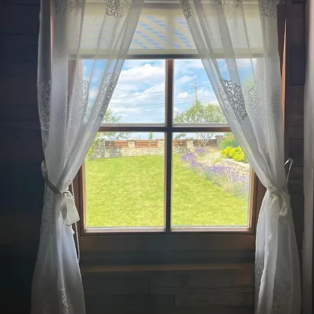 Case de vacanță Casa Adrian