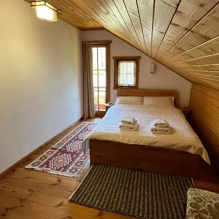 Casa Adrian Case de vacanță