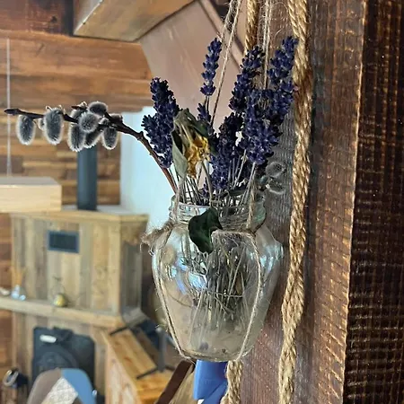 Casa Adrian Dom wakacyjny Kluż-Napoka