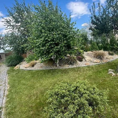 Dom wakacyjny Casa Adrian *