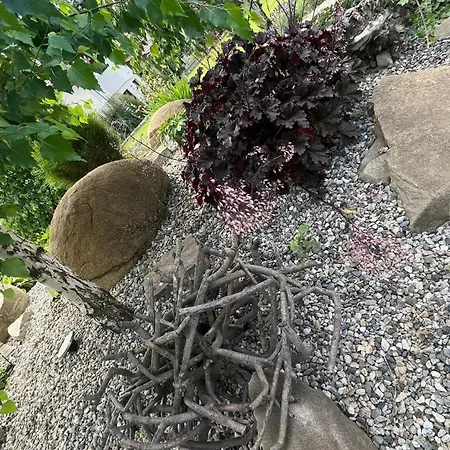 Casa Adrian Kluż-Napoka