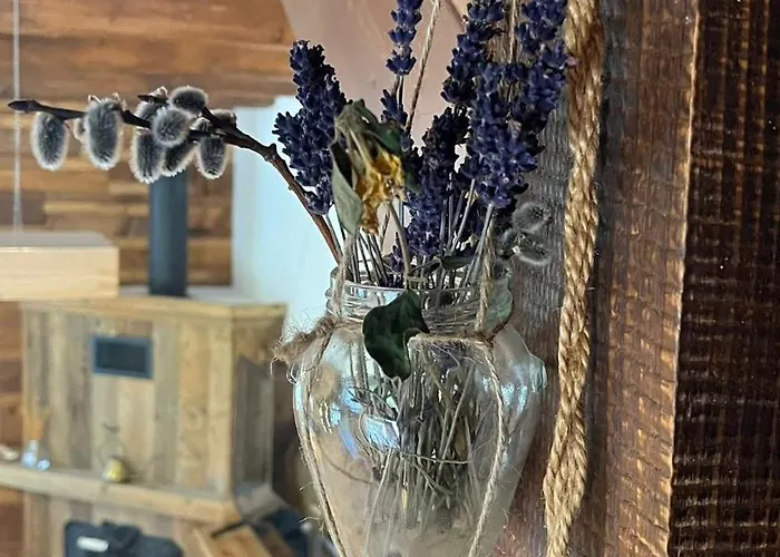 Casa Adrian Сasa de vacaciones Cluj-Napoca