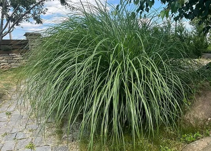 Casa Adrian * Cluj-Napoca